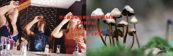 apvp Зеленокумск