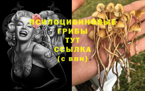 бутират Заволжск